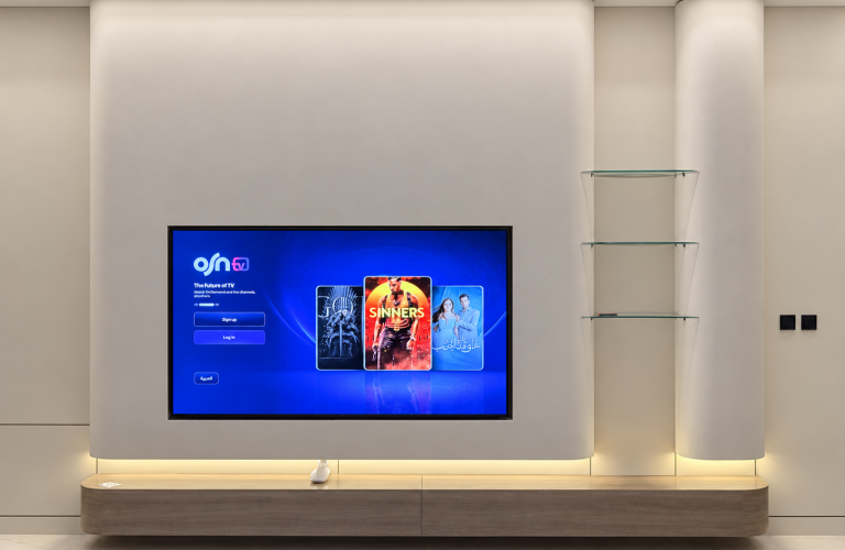 Custom TV media wall